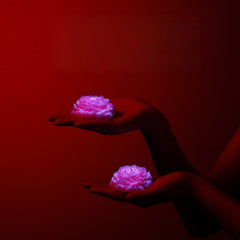Fluorescent Rose Petal Low-Temperature Scented Candles