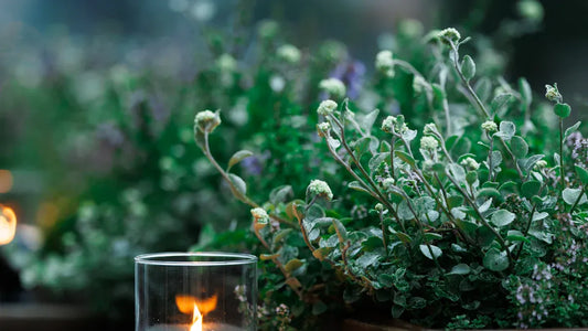 What Makes Soy Candles Non-Toxic and Eco-Friendly