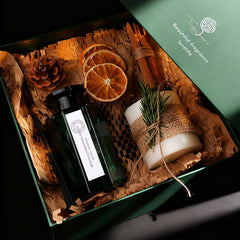 Christmas Coconut Shell Scented Candle Gift Set, Xmas Home Fragrance Present