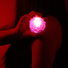 Fluorescent Rose Petal Low-Temperature Scented Candles